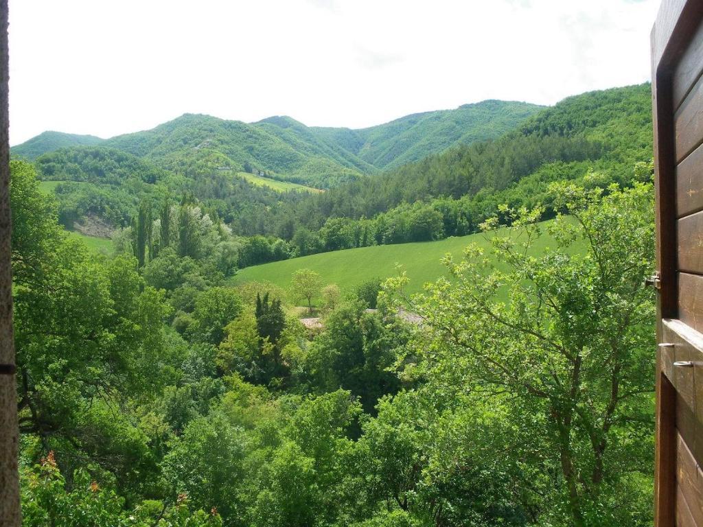 Agriturismo Orsaiola Urbania Zimmer foto